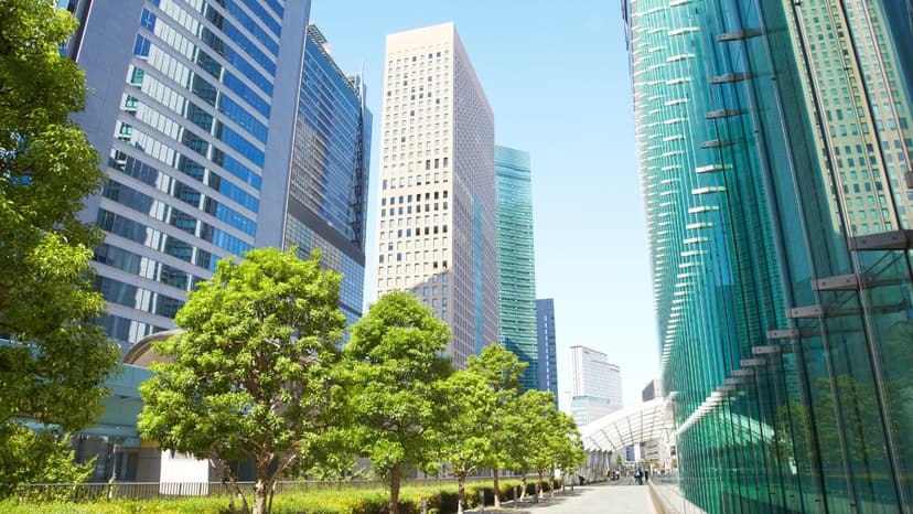 City scape with line of trees before the sidewalk